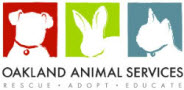 Oakland Animal Services Community Forum 